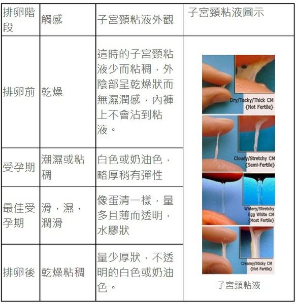 正常情况下,小米的质和量随手机月经v情况.白带周期1代图片