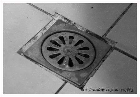 DSC00709 DSC00709